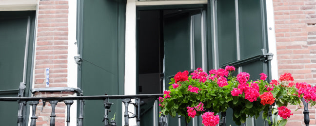 Top vijf ideale planten voor je balkon