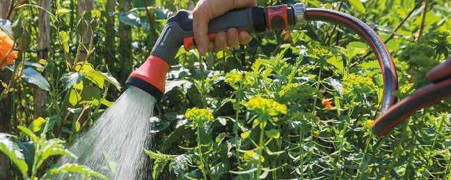 De tuinkalender voor augustus: haal het beste uit jouw tuin!