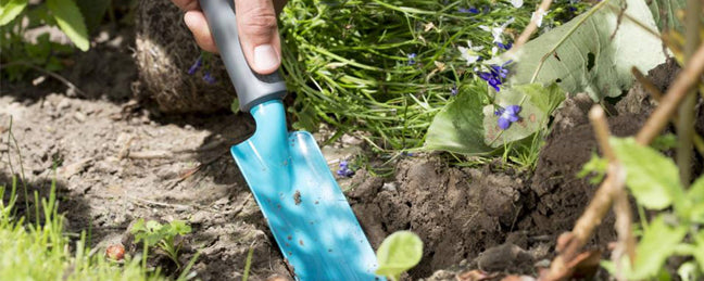 Tuinkalender september