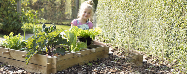 Moestuin beginnen | Bouwhof