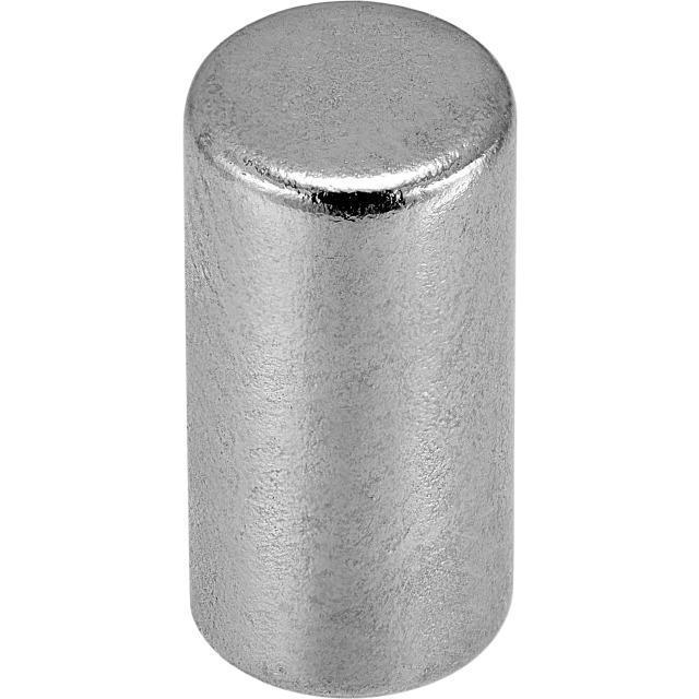 Magneet neodym cil. 10x5 10 st. 0.9 kg.-CONMETALL (ijzerwaren) | CELLE-Bouwhof shop (6657240268976)