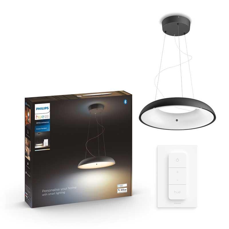 Philips Hue Amaze hanglamp- LED- black-PHILIPS NEDERLAND [BO] (verlichting)-Bouwhof shop (7043527377072)