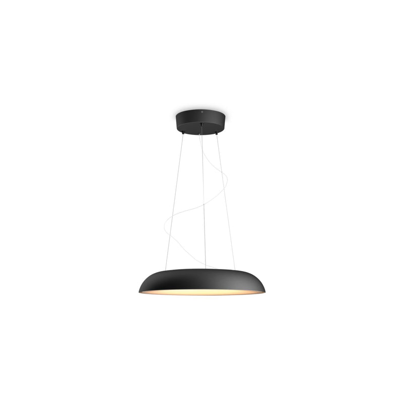 Philips Hue Amaze hanglamp- LED- black-PHILIPS NEDERLAND [BO] (verlichting)-Bouwhof shop (7043527377072)