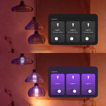 Philips Hue wall switch module 2-pack-PHILIPS NEDERLAND [BO] (verlichting)-Bouwhof shop (7043527409840)