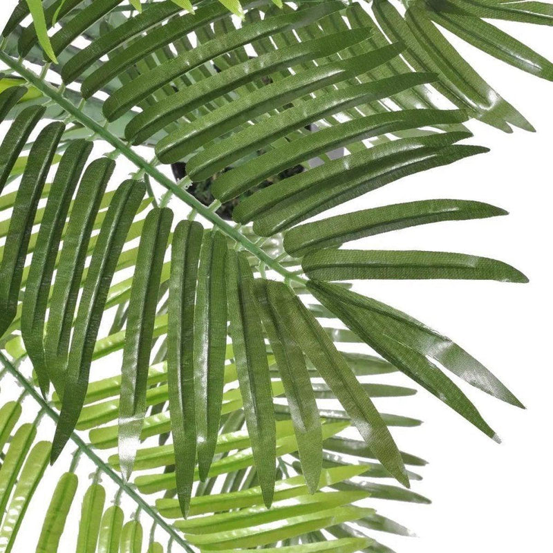 Phoenix palm in pot tasha l groen-DECOSTAR-Bouwhof shop (6213009309872)