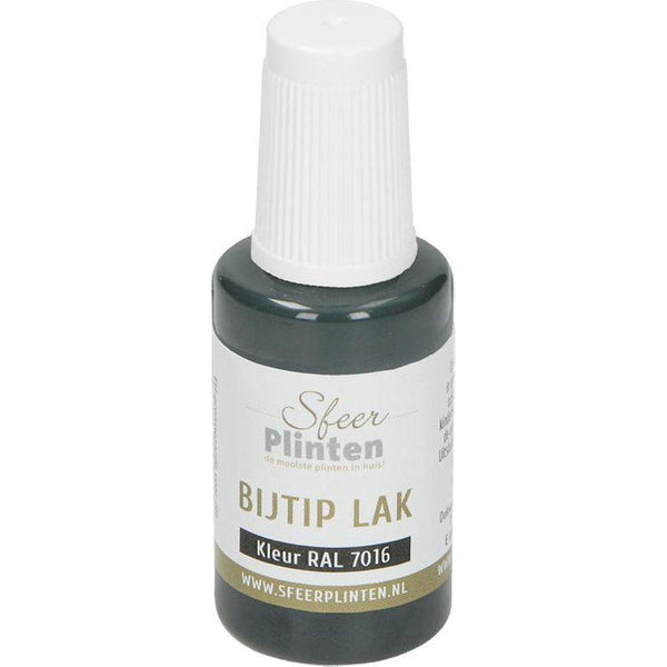 Sfeerplinten bij-tip-lak RAL 7016 - 20 ml-PLINTEN & PROFIELEN CENTRALE-Bouwhof shop