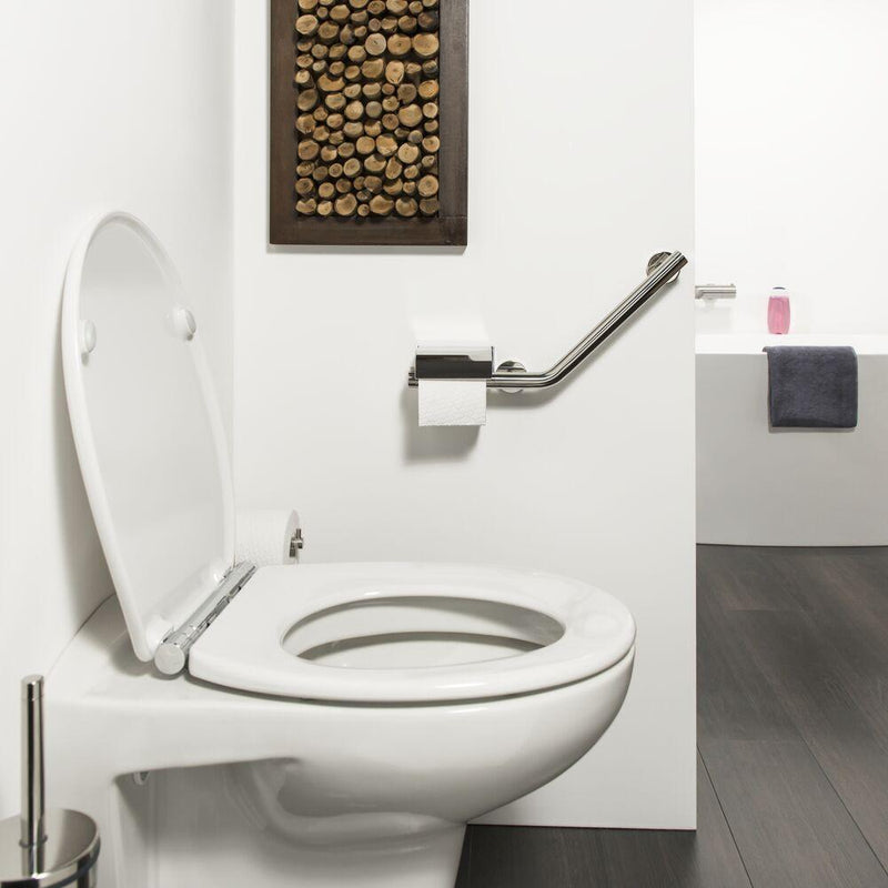 TIGER BOSTON COMFORT & SAFETY WANDBEUGEL MET TOILETROLHOUDER RVS GEPOLIJST - RECHTS-CORAM DIY BV-Bouwhof shop (6161284038832)